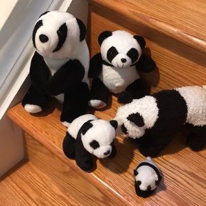 SET OF PANDA BEAR